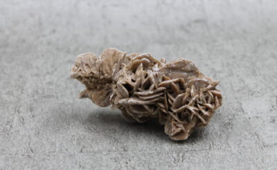 Desert Rose Rough Specimen
