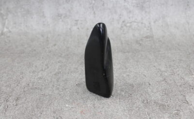 Shungite Freeform Specimen - 78g 70MM x 25MM