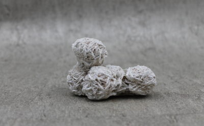 Desert Rose